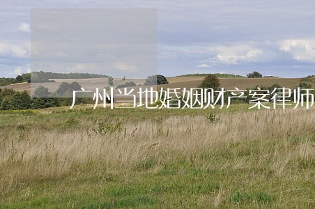广州当地婚姻财产案律师在线咨询 广州当地婚姻财产案律师在线咨询