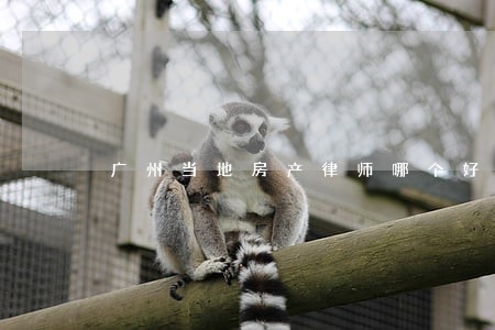 广州当地房产律师哪个好 广州当地房产律师哪个好