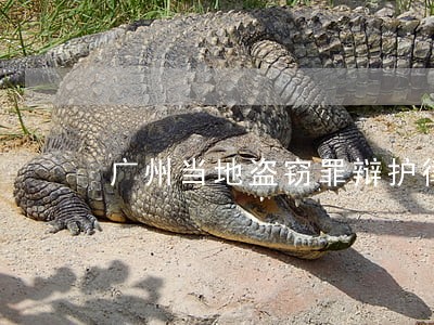 广州当地盗窃罪辩护律师 广州当地盗窃罪辩护律师