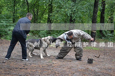 广州当地罪轻辩护律师团专业服务