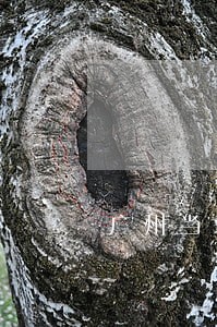 广州当地金融债务律师在线咨询 广州当地金融债务律师在线咨询