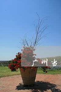 广州当地金融债务律师详情咨询 广州当地金融债务律师详情咨询