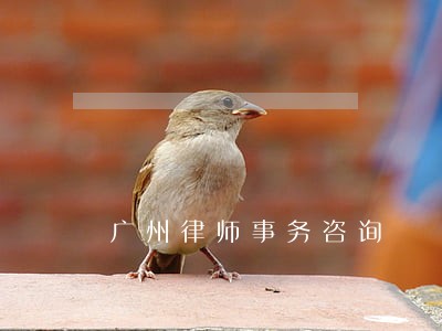 广州律师事务咨询 广州律师事务咨询