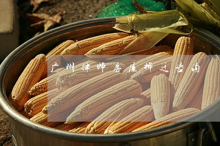 广州律师房屋拆迁咨询 广州律师房屋拆迁咨询