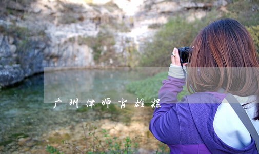 广州律师肖雄辉 广州律师肖雄辉