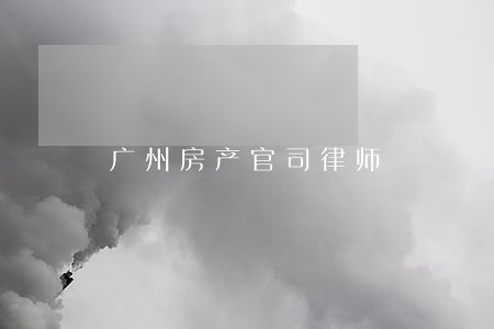 广州房产官司律师 广州房产官司律师