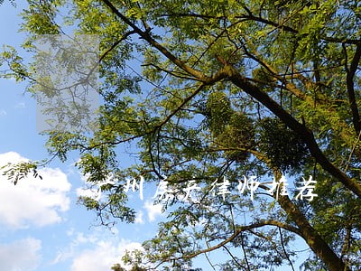 广州房产律师推荐 广州房产律师推荐