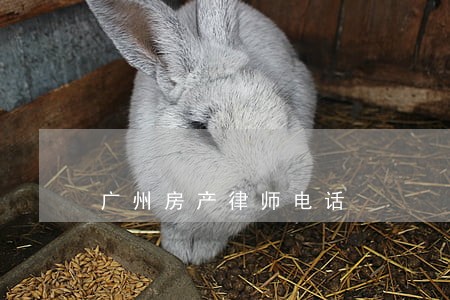 广州房产律师电话 广州房产律师电话