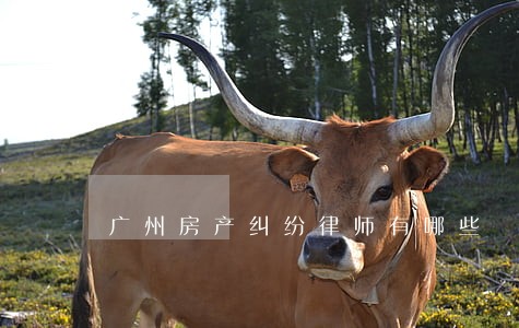广州房产纠纷律师有哪些 广州房产纠纷律师有哪些