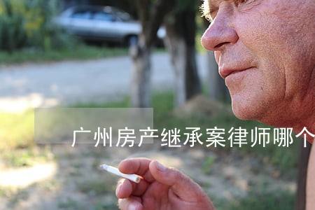 广州房产继承案律师哪个好