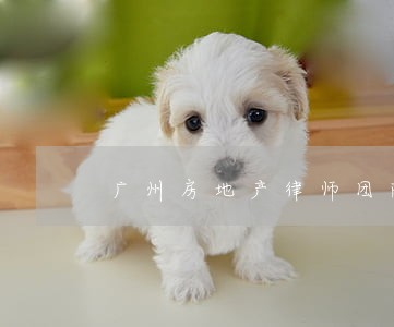 广州房地产律师团队收费 广州房地产律师团队收费