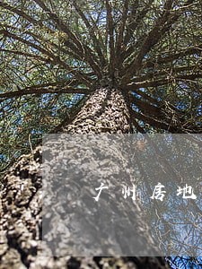 广州房地产律师联系方式 广州房地产律师联系方式