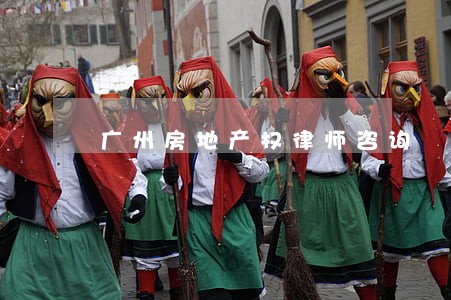 广州房地产权律师咨询 广州房地产权律师咨询
