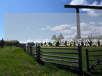 广州找专业的诉讼离婚律师哪里找