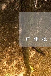 广州找个债务执行律师咨询 广州找个债务执行律师咨询
