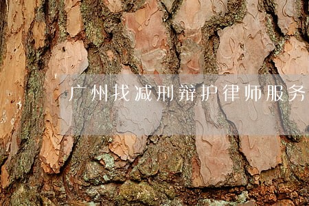 广州找减刑辩护律师服务 广州找减刑辩护律师服务
