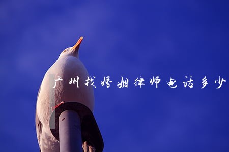 广州找婚姻律师电话多少 广州找婚姻律师电话多少
