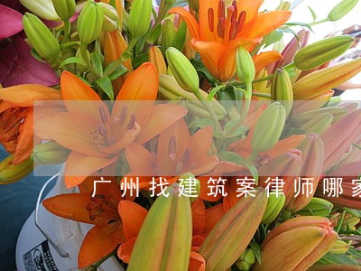 广州找建筑案律师哪家好 广州找建筑案律师哪家好
