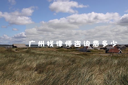 广州找律师咨询费多少 广州找律师咨询费多少