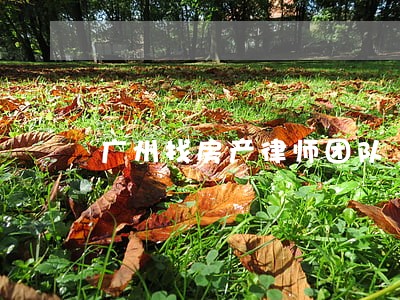 广州找房产律师团队