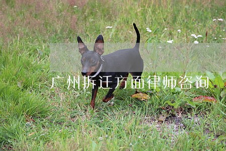 广州拆迁方面律师咨询 广州拆迁方面律师咨询