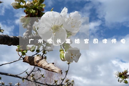 广州擅长离婚官司律师电话咨询 广州擅长离婚官司律师电话咨询