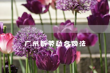 广州新劳动合同法 广州新劳动合同法