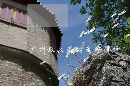 广州最权威的离婚律师 广州最权威的离婚律师
