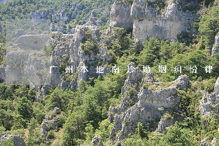 广州本地南沙婚姻纠纷律师哪里找 广州本地南沙婚姻纠纷律师哪里找