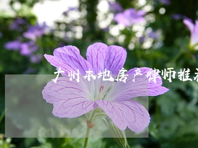 广州本地房产律师推荐 广州本地房产律师推荐