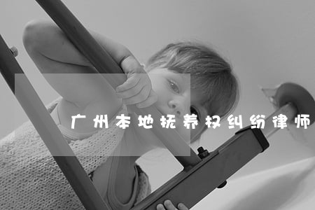 广州本地抚养权纠纷律师联系方式