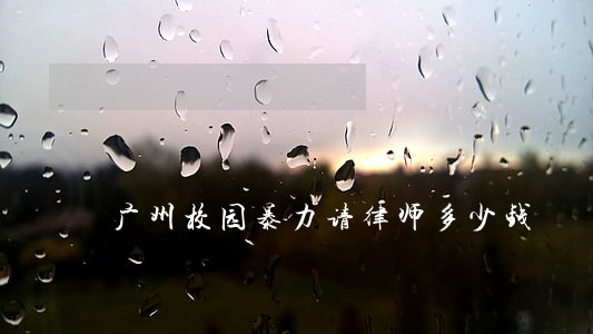 广州校园暴力请律师多少钱