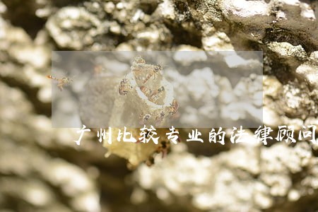广州比较专业的法律顾问排行榜