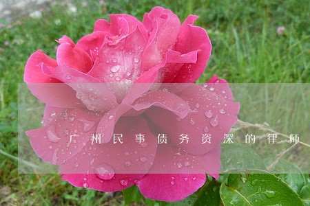 广州民事债务资深的律师 广州民事债务资深的律师