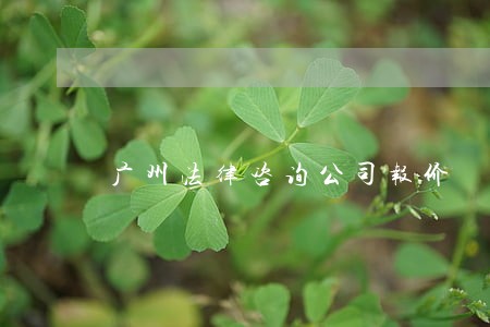 广州法律咨询公司报价 广州法律咨询公司报价