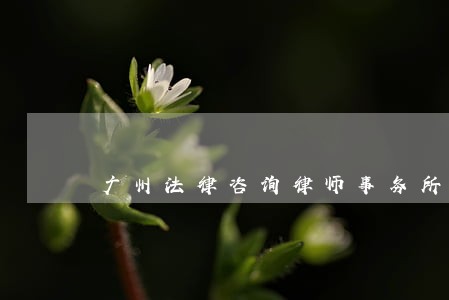 广州法律咨询律师事务所 广州法律咨询律师事务所