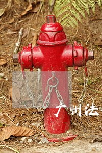 广州法律咨询服务公司 广州法律咨询服务公司