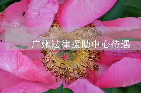 广州法律援助中心待遇 广州法律援助中心待遇