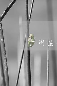 广州法律的案件费