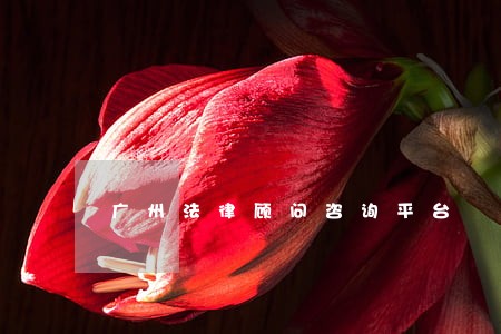 广州法律顾问咨询平台 广州法律顾问咨询平台