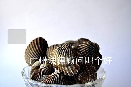 广州法律顾问哪个好 广州法律顾问哪个好