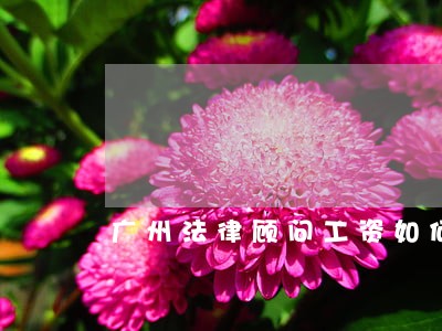 广州法律顾问工资如何 广州法律顾问工资如何