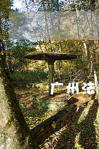 广州法律顾问规定 广州法律顾问规定