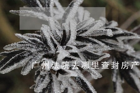 广州法院去哪里查封房产 广州法院去哪里查封房产