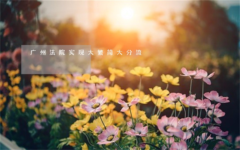 广州法院实现大繁简大分流 广州法院实现大繁简大分流