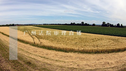 广州法院审理直播 广州法院审理直播