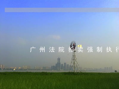 广州法院拍卖强制执行搬家锁门 广州法院拍卖强制执行搬家锁门