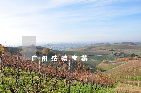 广州法院李燕