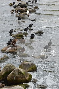 广州法院网格化