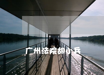 广州法院胡小兵